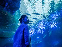 Tickets to Monster Aquarium Pattaya